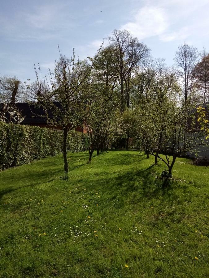 Gite Du Montagnard Oxelaere Exterior foto